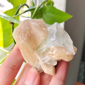 Raw Green Apophyllite on Stilbite